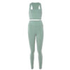 Plain Yoga U Chest Bra Sportleggings Athleisure Wear Set